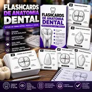 Flashbacks de Anatomia Dental